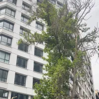 اجاره آپارتمان ۱۲۰ متری/سند اداری/برج اداری برند|اجارهٔ دفتر کار، اتاق اداری، مطب|تهران, زعفرانیه|دیوار