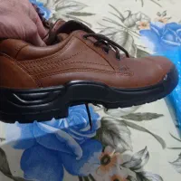 کفش ایمنی بهشتیان|کیف، کفش، کمربند|چالوس, |دیوار