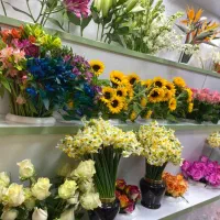 کاردرگلفروشی