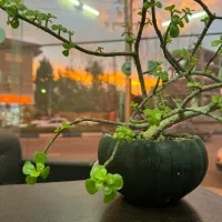 نیازمند خانم برای نگهداری از کودک و کار منزل