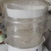 بخار پز برقی