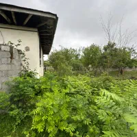 خانه روستایی با سند تکبرگ و تمامی کنتورها‌|فروش خانه و ویلا|ماسال, |دیوار