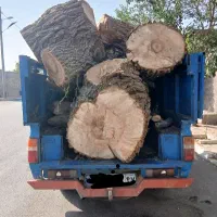 خرید انواع چوب