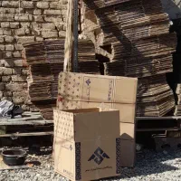 کارتن توسایزتخم مرغ