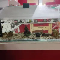 آکواریوم 120*50*50