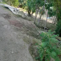 حیوانات|حیوانات مزرعه|نیشابور, ۲۲ بهمن|دیوار