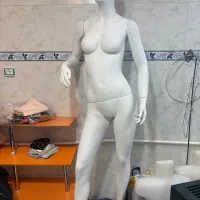 مانکن زنانه کاملا سالم ومحکم|فروشگاه و مغازه|تبریز, |دیوار