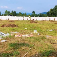 علف زنی،سمپاشی،برش درخت،درختکاری ،خدمات باغبانی|خدمات باغبانی و درختکاری|رودسر, |دیوار