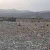 فروش زمین  شهر تخت محله اسلام آباد جاده جغان|فروش دفتر صنعتی، کشاورزی، تجاری|تخت, |دیوار