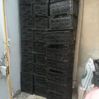 سبد میوه