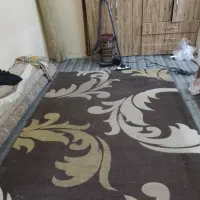 فرش عروسکی ۶ متر|فرش|بندرعباس, |دیوار