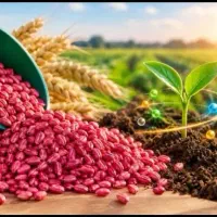 بذرمال گندم با کود هیومیک اسید کروا (افزایش تناژ)