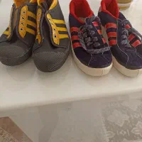 کفش نو|کیف، کفش، کمربند|کرمان, |دیوار