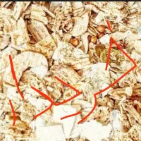 نان خشک دامی