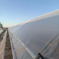 ساخت گلخانه خانگی|خدمات پیشه و مهارت|زابل, |دیوار