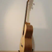 گیتار برند AGRIN|گیتار، بیس، امپلیفایر|شهرکرد, |دیوار