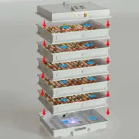 جوجه کشی خانگی و جوجه کشی صنعتی تمام اتوماتیک|لوازم جانبی حیوانات|شیراز, شهرک امیر کبیر|دیوار