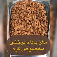 بادام زمینی کره گیری|عمدهفروشی|شیراز, پایانه مسافربری سعدی|دیوار