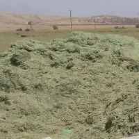 یونجه درجه یک موجوده