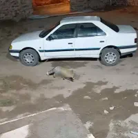 پژو آردی مدل ۸۰