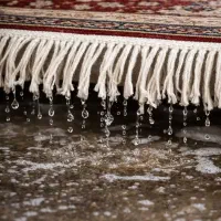 قالیشویی داریون گلیم|خدمات نظافت|شوشتر, |دیوار