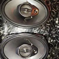 باند پایونر 6964S