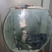 آکواریوم|ماهی|اصفهان, خواجو|دیوار