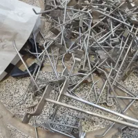 تعدادی رگال شاخه ای