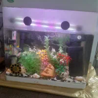 آکواریوم فروشی