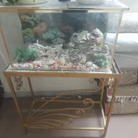 اکواریوم|ماهی|اصفهان, ملاصدرا|دیوار
