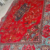 قالی|فرش|نورآباد, |دیوار