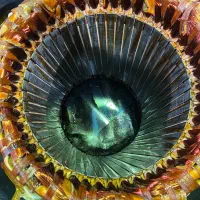 سیم پیچی صنعتی و ژنراتور|خدمات پیشه و مهارت|تهران, فتح|دیوار