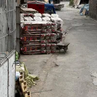 جک پالت استاکر لیفتراک|ماشین‌آلات صنعتی|تهران, شهرک امام خمینی|دیوار