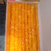 نبات درجه یک زیر قیمت کارخانه
