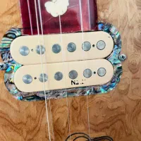 باغلاما الکتریک|سازهای سنتی|ارومیه, |دیوار