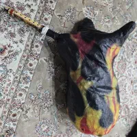 نی هنبون