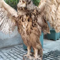 مجسمه پرنده