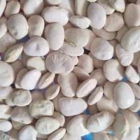 لوبیا سفید(نرمه)