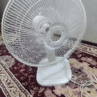 پنکه|کلکسیون اشیاء عتیقه|قم, تولید دارو و یخچال|دیوار