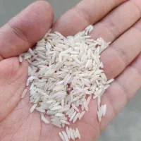 برنج طارم محلی درجه یک|خوردنی و آشامیدنی|باقرشهر, |دیوار