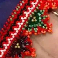 کریشی جدید پزیرفته میشه