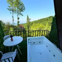 اجاره کلبه سویسی وان جکوزی جنگلی vip|اجارهٔ کوتاه‌مدت ویلا و باغ|نشتارود, |دیوار