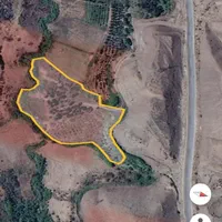 باغ زیتون ۱۱۵۱۰ متری سند تک برگ