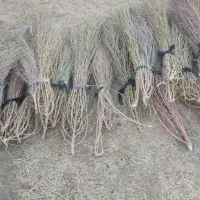 جارو فراشه ای سنتی|لوازم نظافت|کرمانشاه, |دیوار