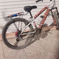 وچرخه ۲۶ ویوا|دوچرخه، اسکیت، اسکوتر|هشتگرد, سیف آباد|دیوار