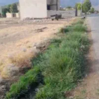 زمین-مسکونی-شهرستان-چگنی-روستای-حسیوند