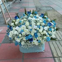 همکار گلفروش