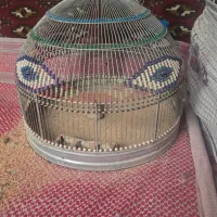 قفس دست باف