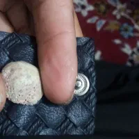 مهر اصل|بدلیجات|مشهد, ارشاد|دیوار