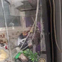 آکواریوم شیشه خم